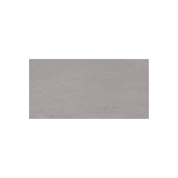 EST Grey R11C 50x100x2 cm