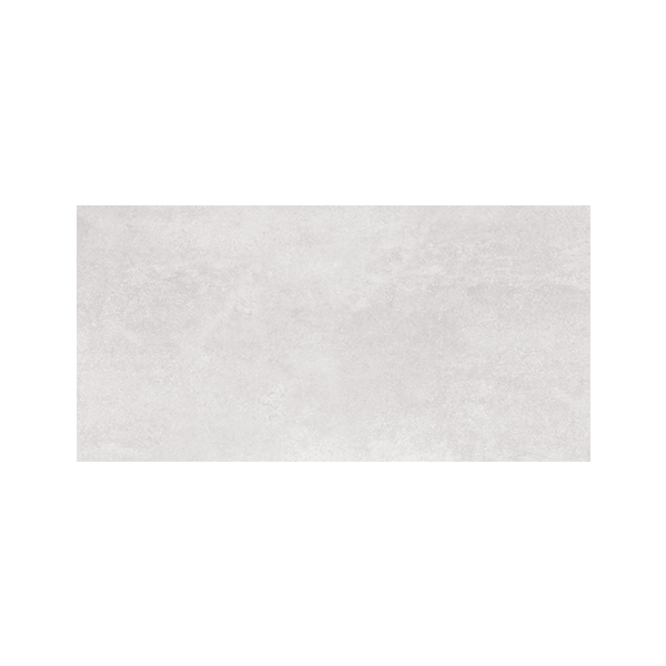 Darium Grau 30 x 60 cm