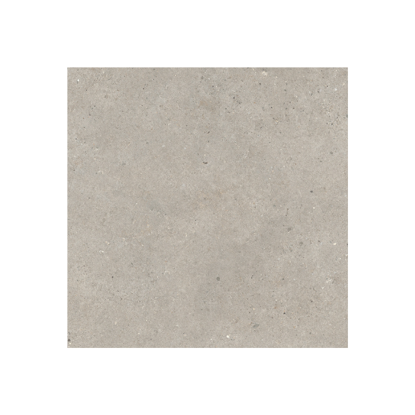 ISG Taupe 60  x  60 x 2 cm