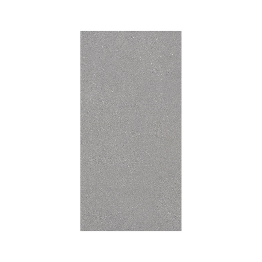 Ergon Grainstone 60x120 cm Grau rec. R10B