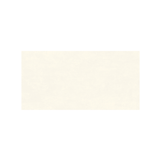 Ice Beige 30 x 60 cm